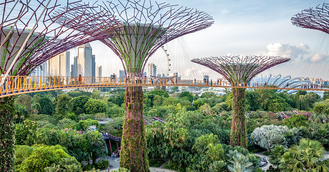 Understanding Singapore's Climate Regulations and How Terrascope Helps  Businesses Navigate Them